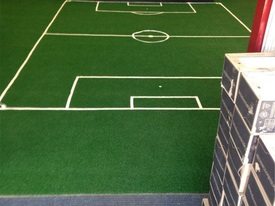 Benchmark Bognor Regis - Verdegrass - World Cup Display