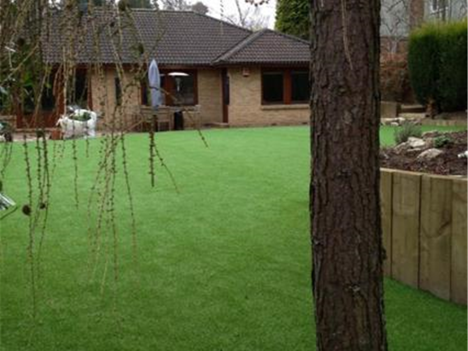 HLY Designs - Verdelawn