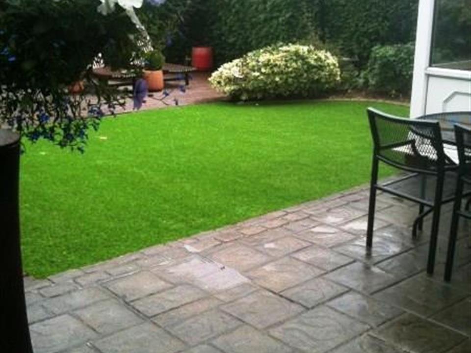 I Cant Believe Its Not Grass 