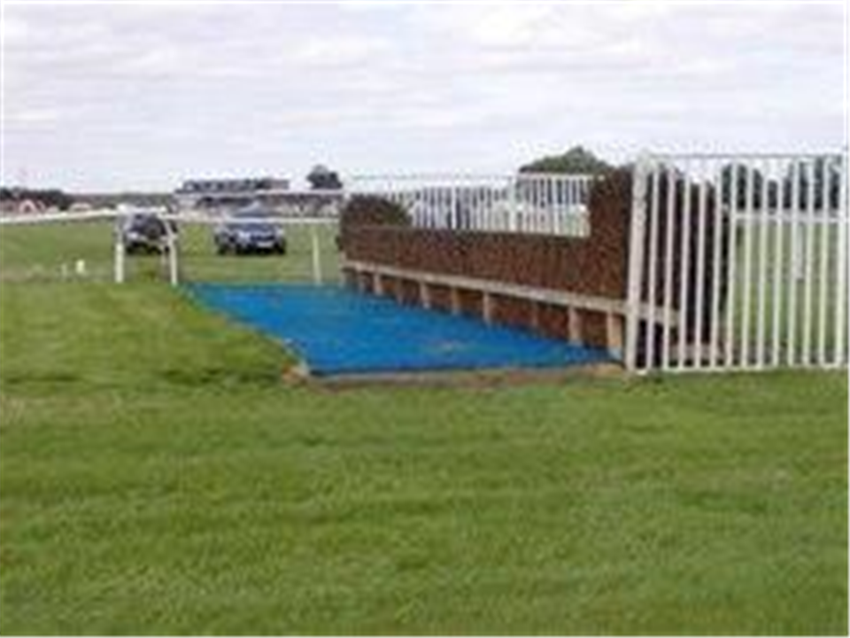 Verdeturf Blue British Horseracing Authority