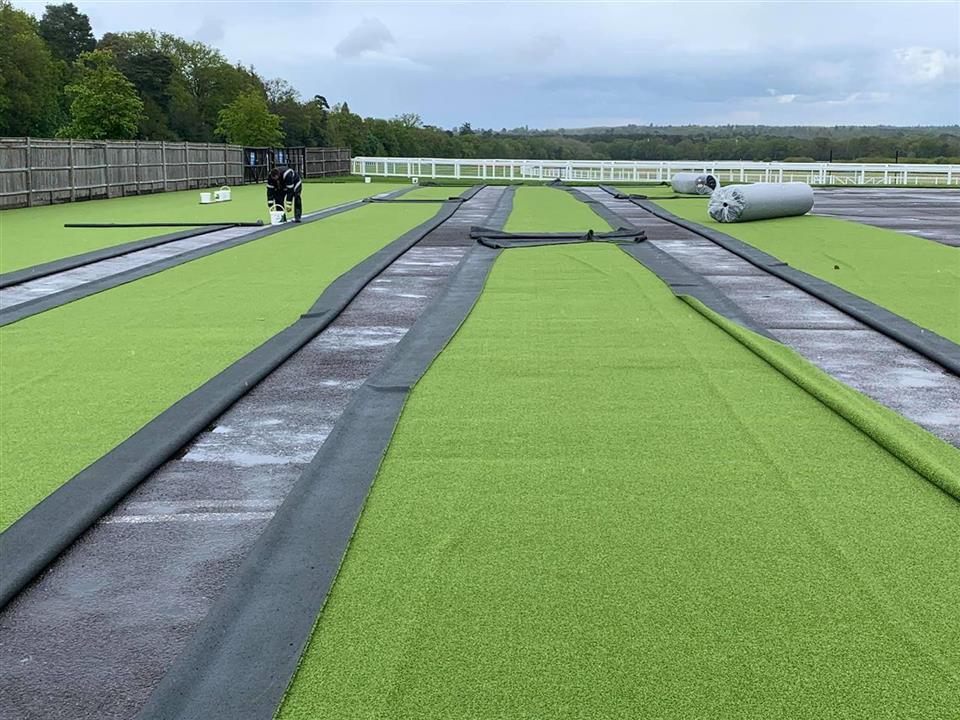 Super Verdegrass - Ascot Racecourse
