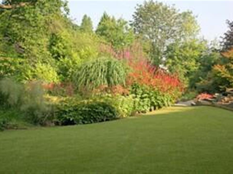Verdeturf By Enhance Landscapes