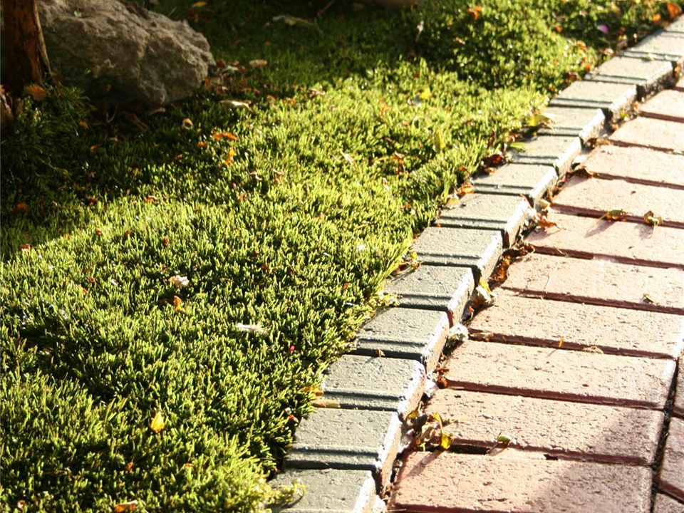 Jolliffe - Super Verdeluxe 2