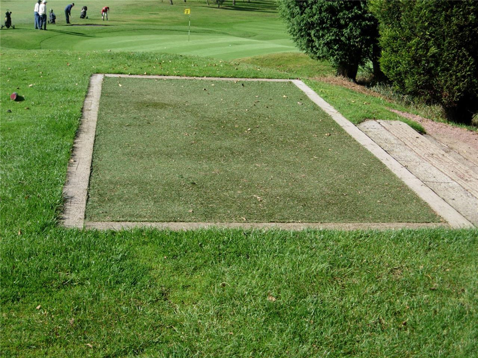 Verde TeeTurf at Bury Golf Club