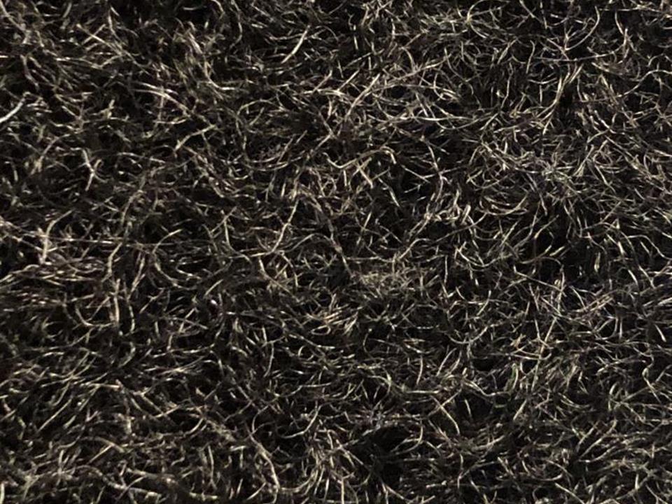 verdesward black