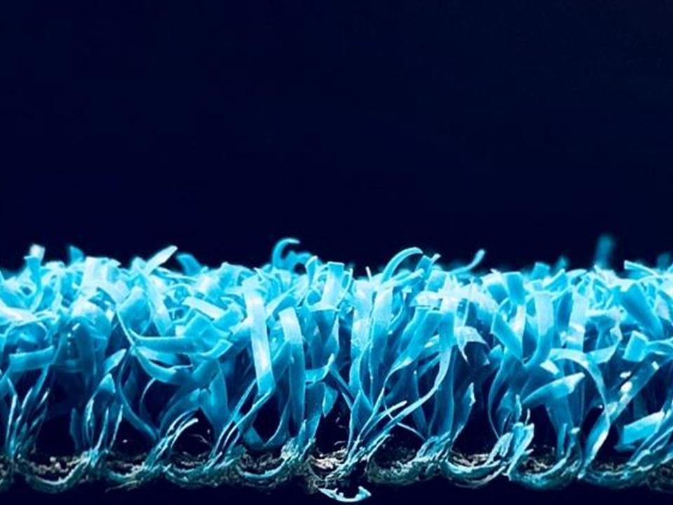 blue artificial grass by verde sports