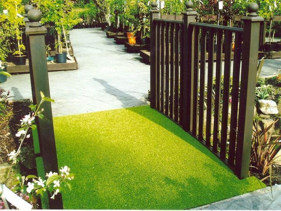 Special Branch (Barton Grange) - Super Verdegrass