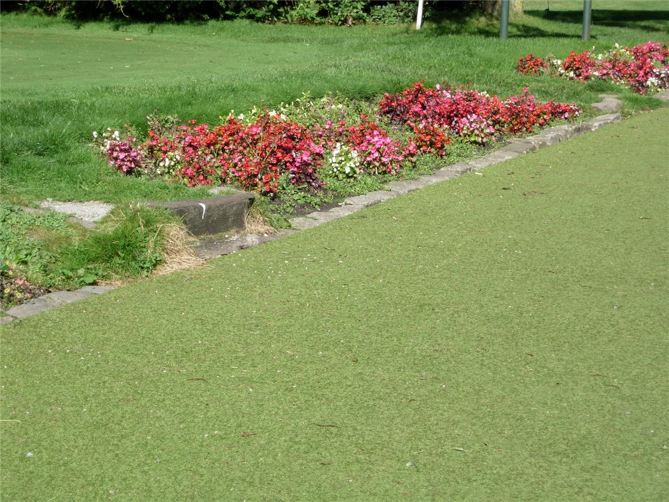 Super Verdegrass Pathway at Crompton & Ryton Golf Club