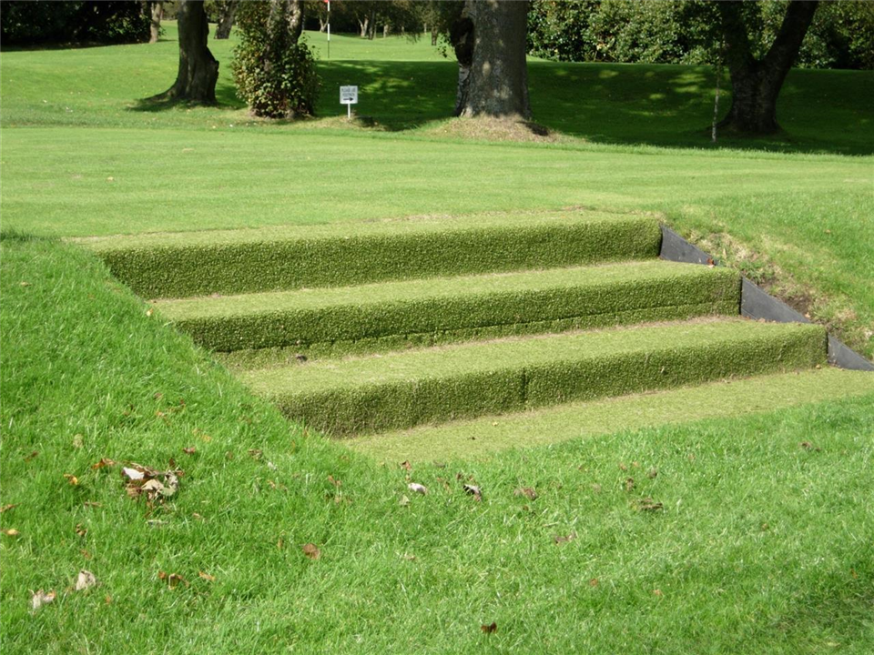 Super Verdegrass Steps at Bolton Golf Club