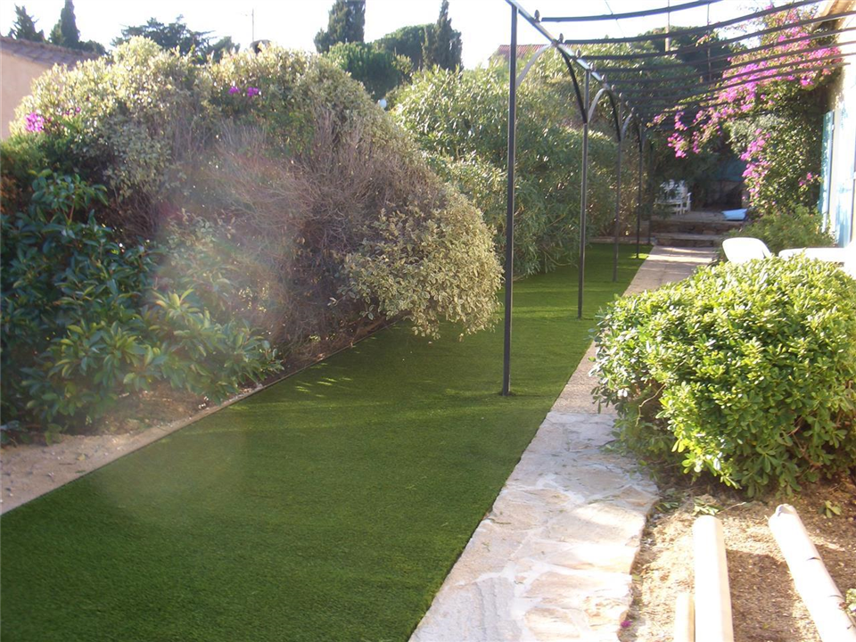 Dr Amegavie - Verdeluxe