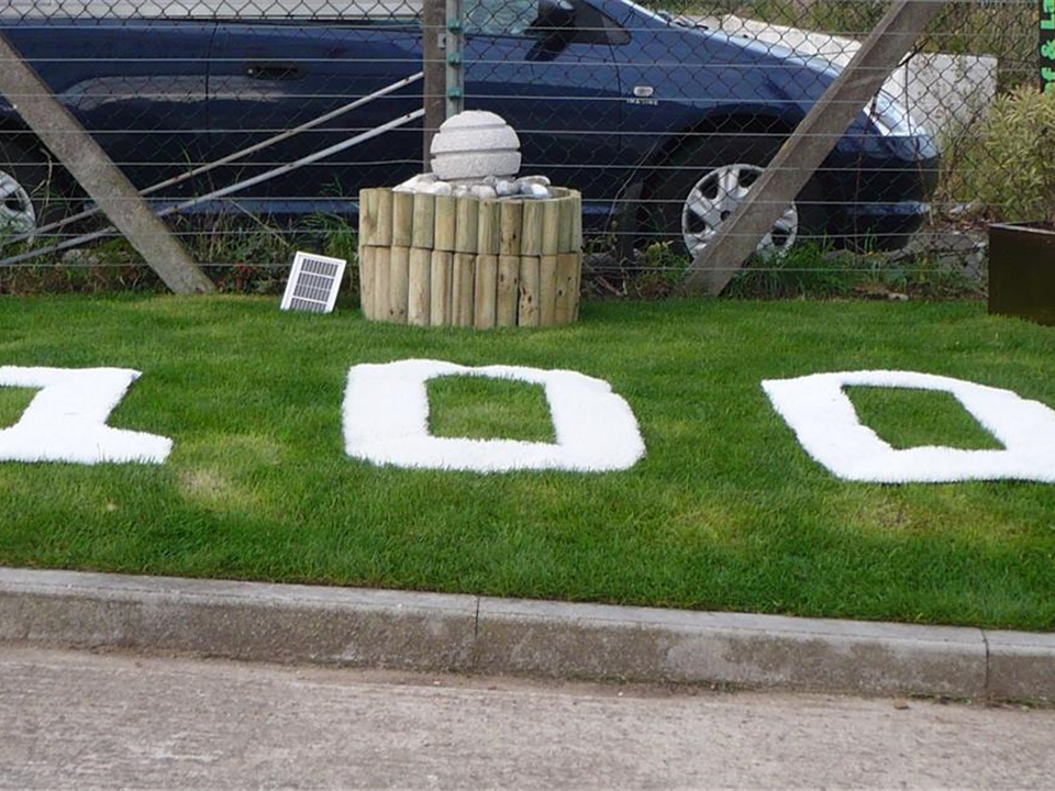 White Groovy Grass &ndash; Ridgeons Centenary Year