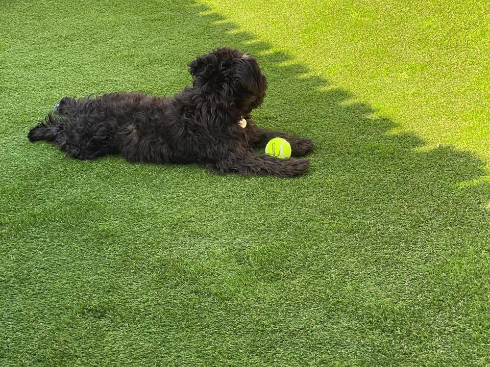 Bolton Landscapes - Lounging on Verde Tempo