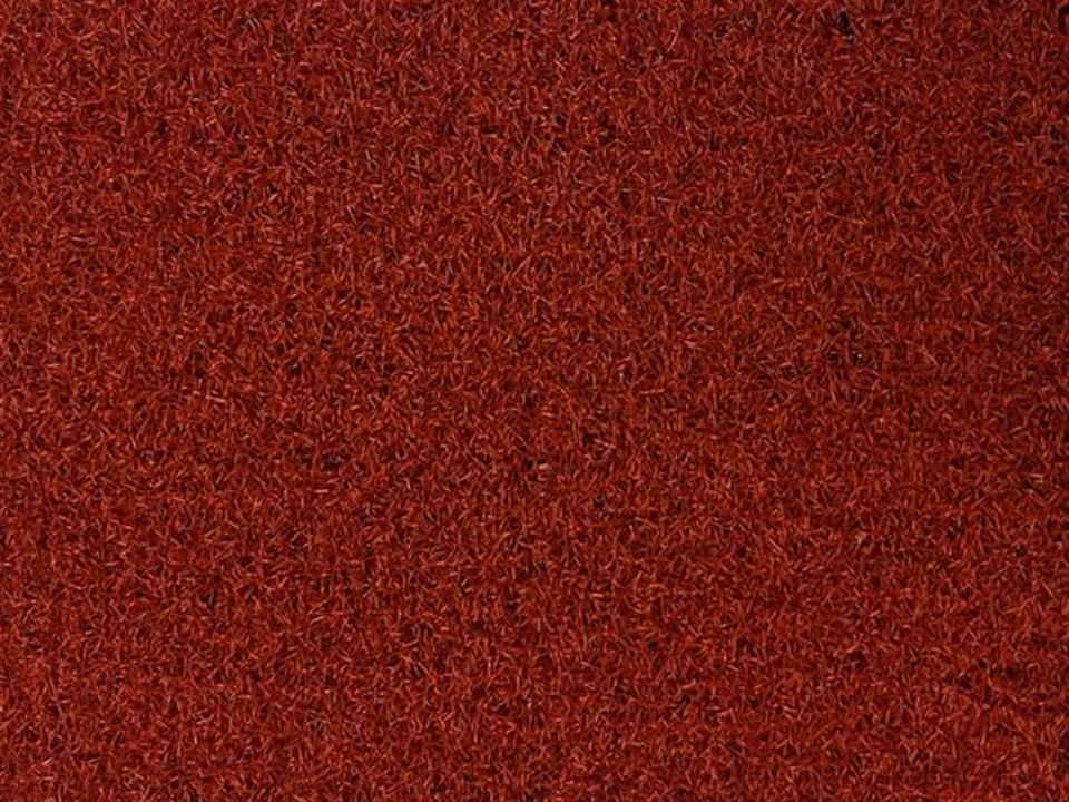 verde prime lite terracotta