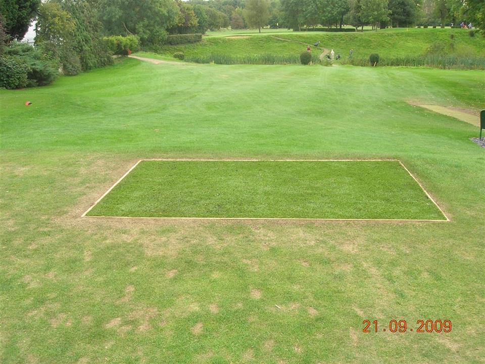 Verde TeeTurf By Lindsay Surfacing