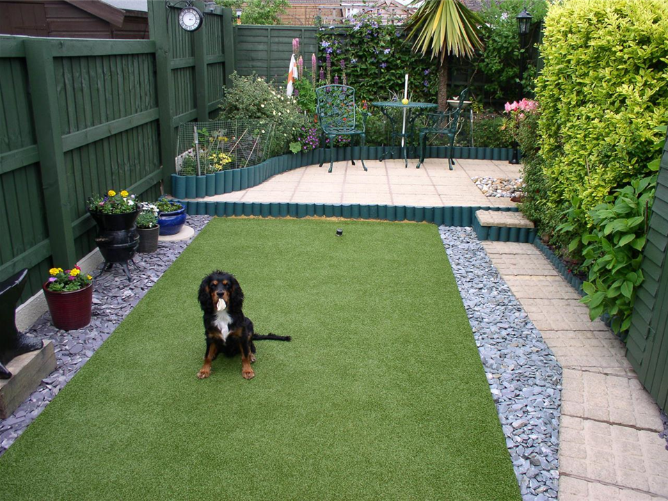 Ecosolve - Mrs Carters lawn with Super Verdeturf