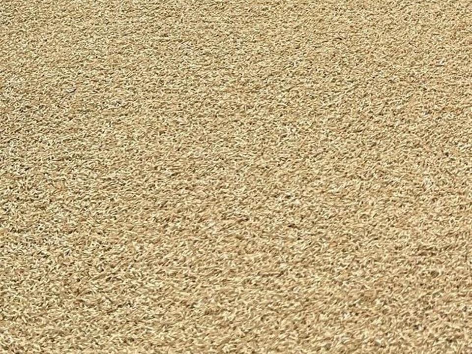 Verde Prime Sand