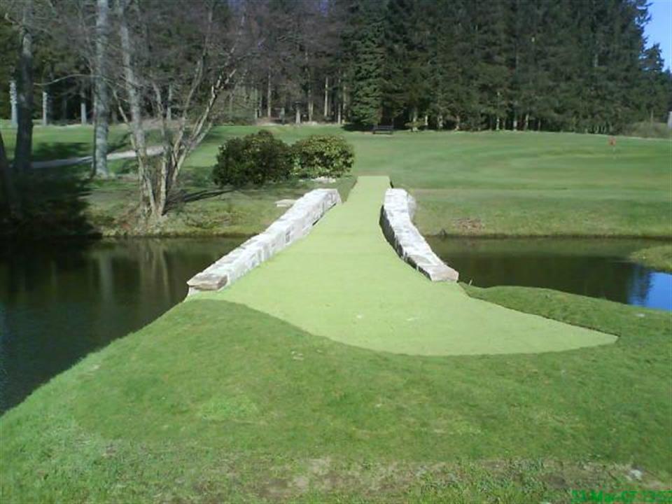 golf path bridge with artificial grass surfacing