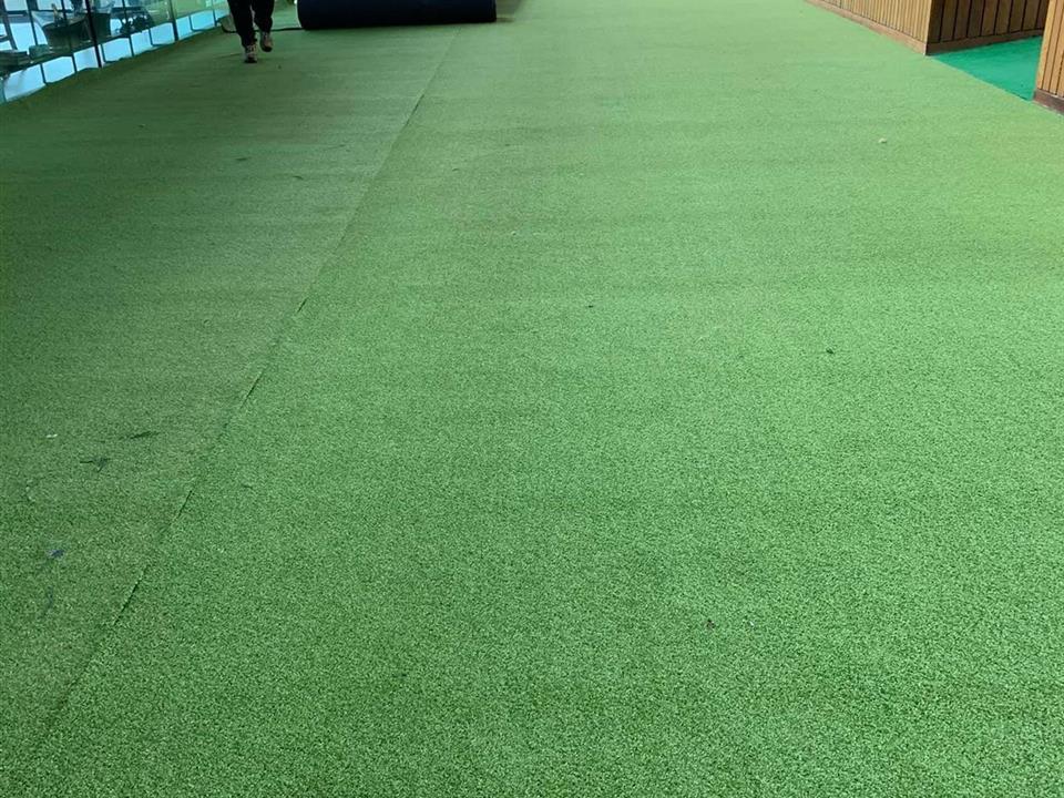 Super Verdegrass - Ascot Racecourse