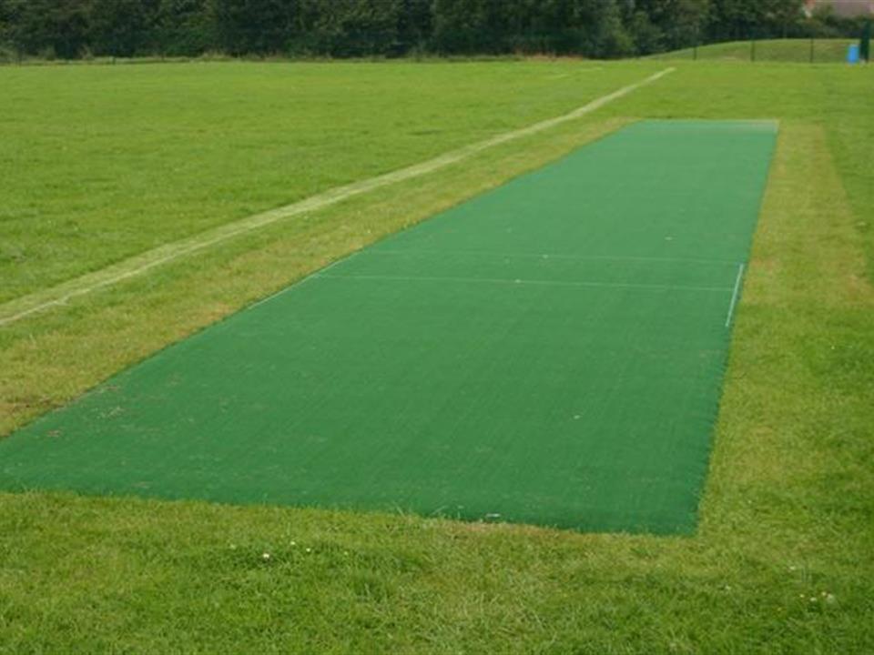Cricket