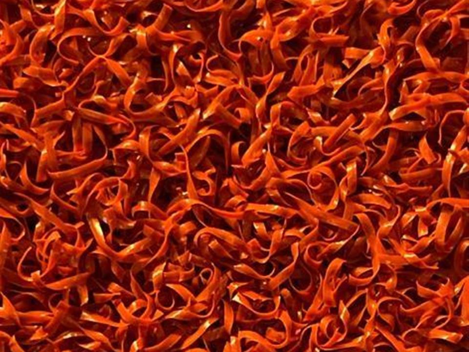 Verde Prime Terracotta 1.00m x 4.00m