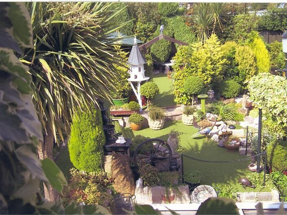 Mr Pickton - Super Verdegrass