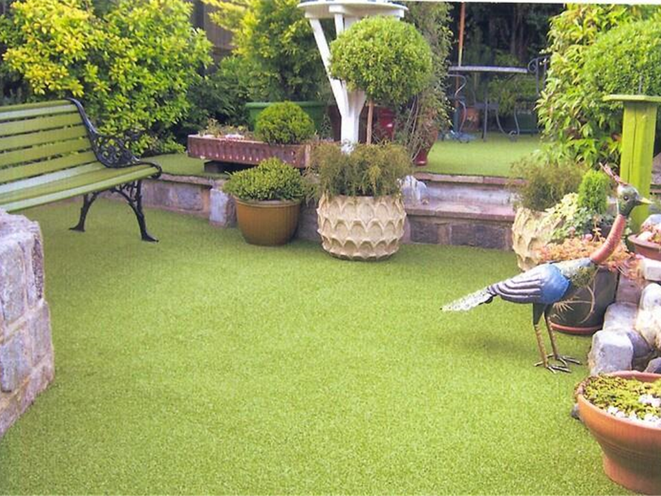 Mr Pickton - Super Verdegrass