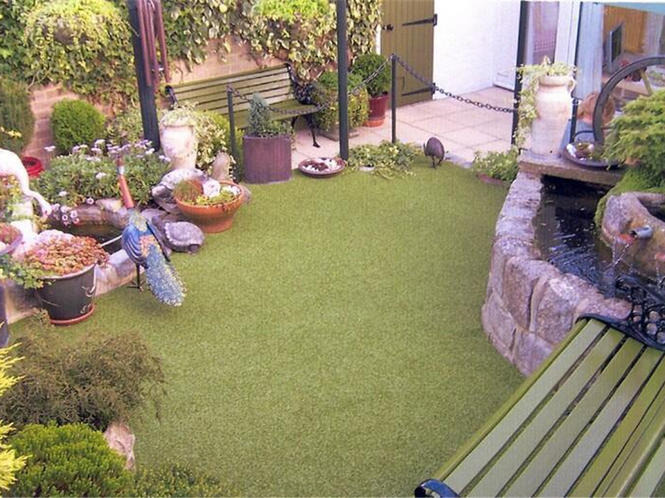 Mr Pickton - Super Verdegrass