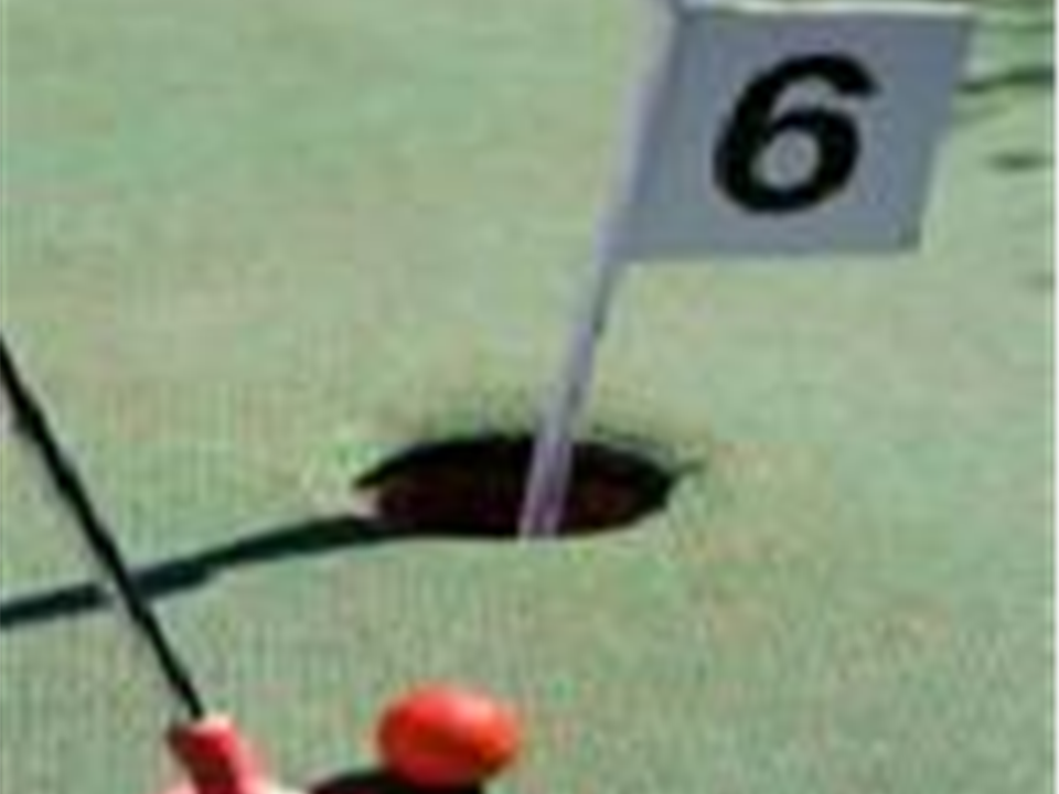 Verde Play for Putting Green