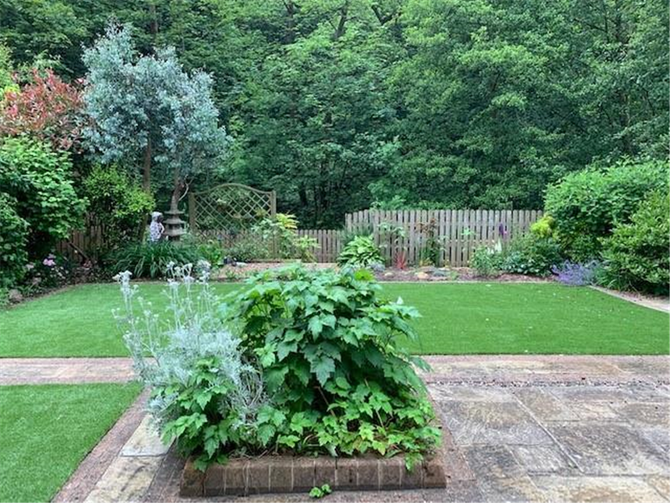 Looking out at the river