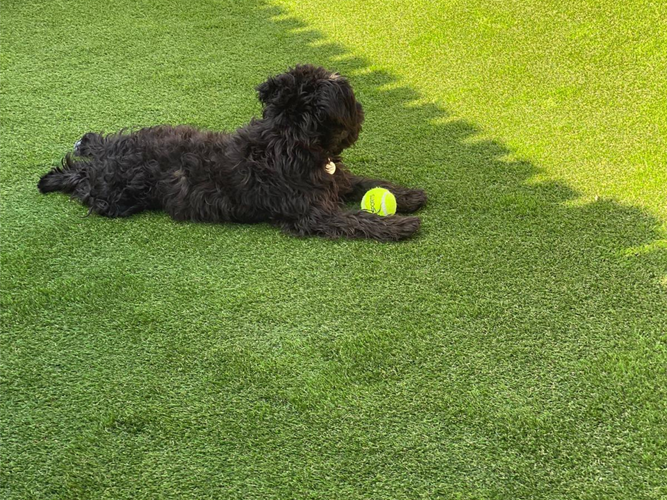 Bolton Landscapes - Lounging on Verde Tempo