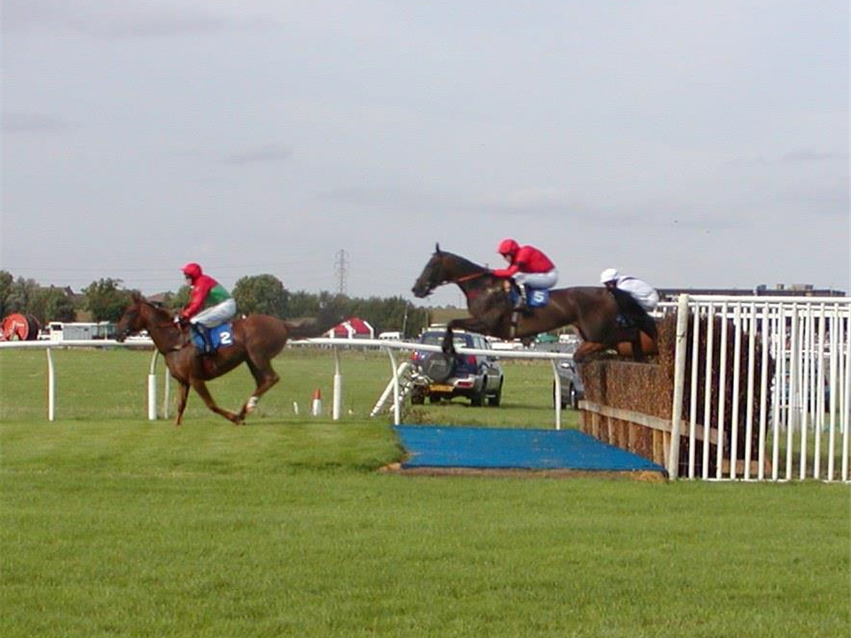 Blue Verdeturf for Horse Jumps - British Horse Racing Authority