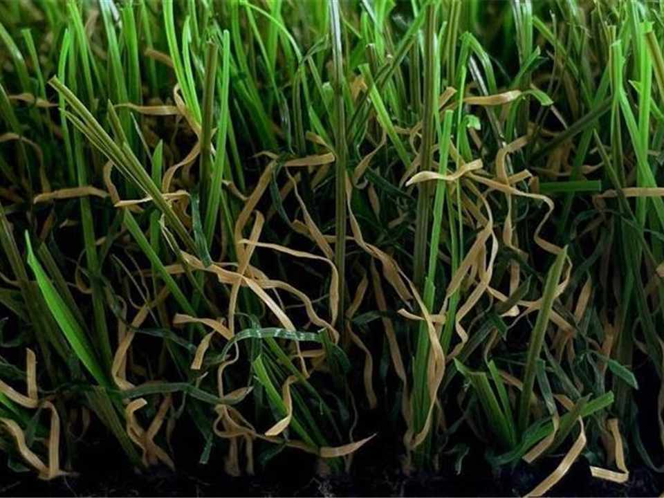 Side view Verdelawn 35mm