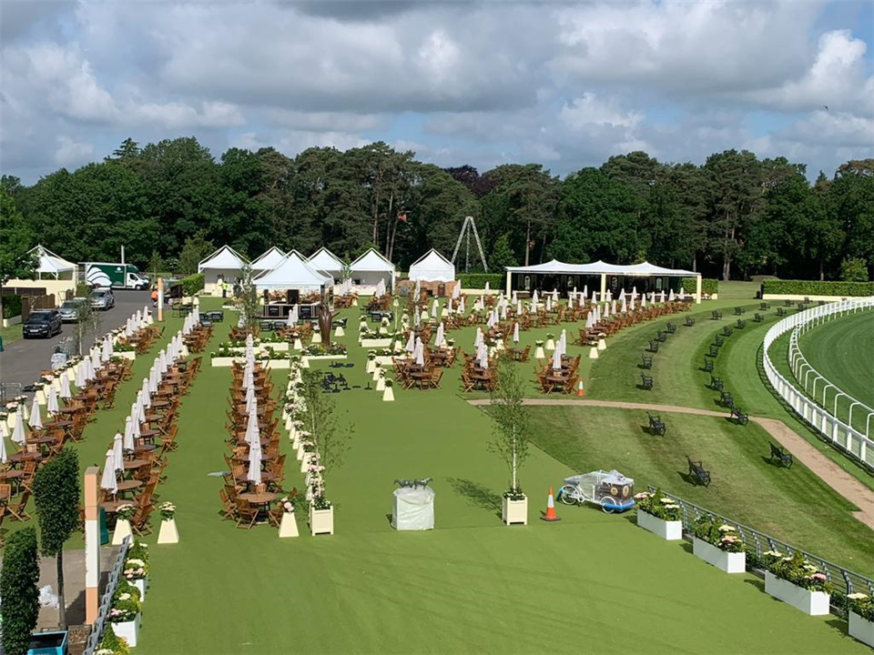 Super Verdegrass Ascot Racecourse