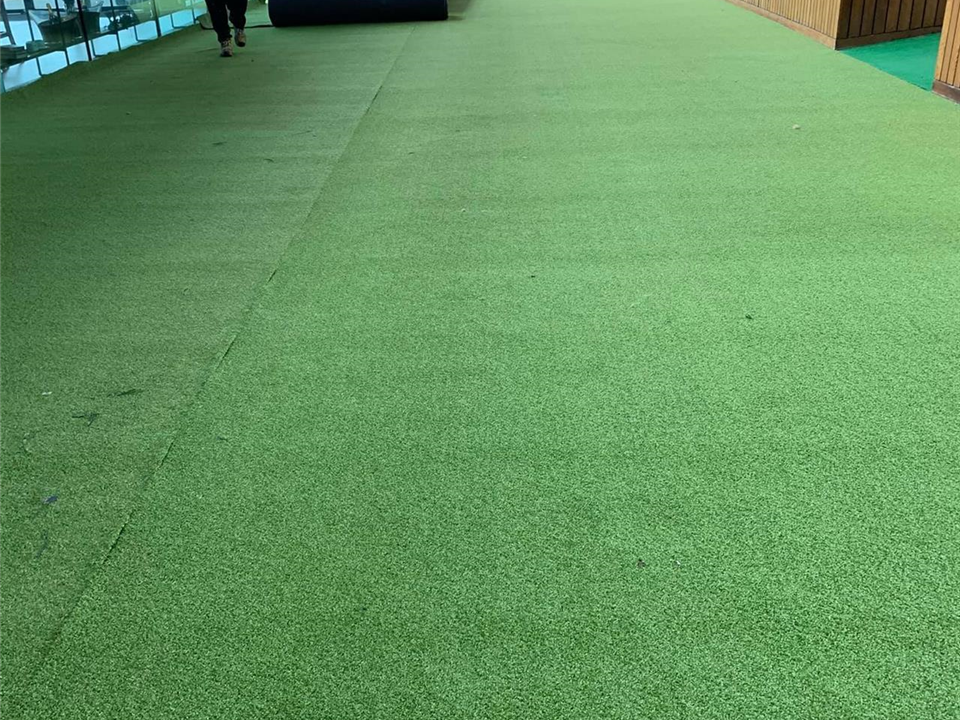 Super Verdegrass - Ascot Racecourse