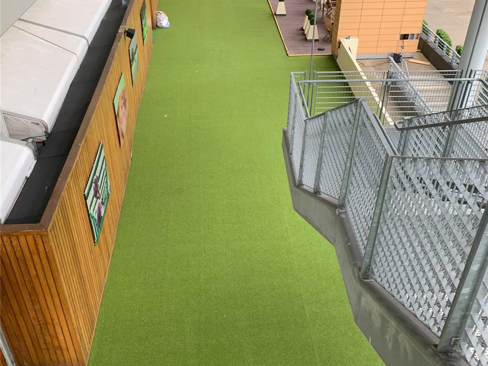 Super Verdegrass - Ascot Racecourse