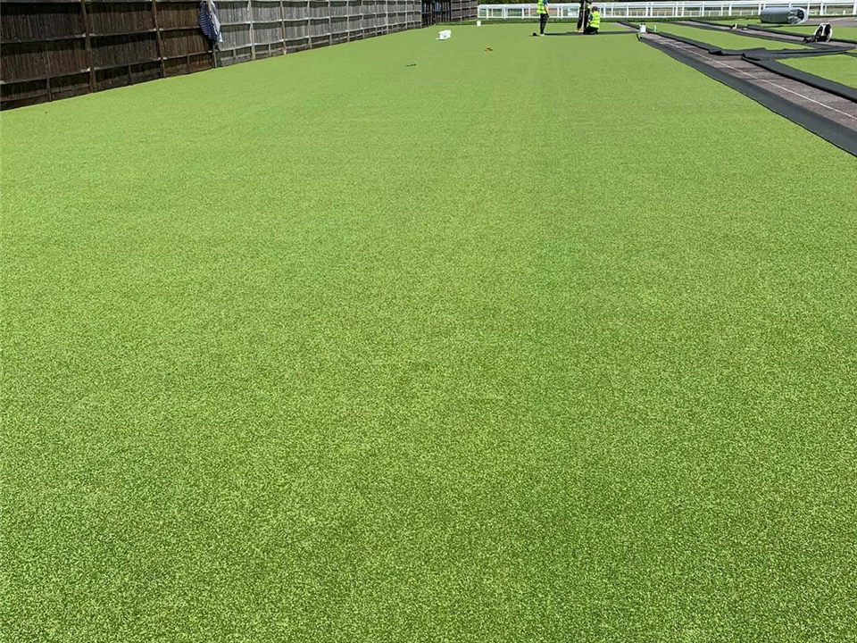 Super Verdegrass - Ascot Racecourse