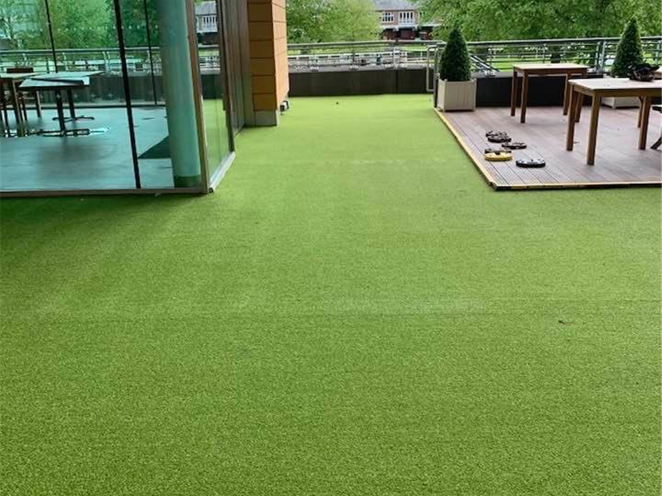 Super Verdegrass - Ascot Racecourse