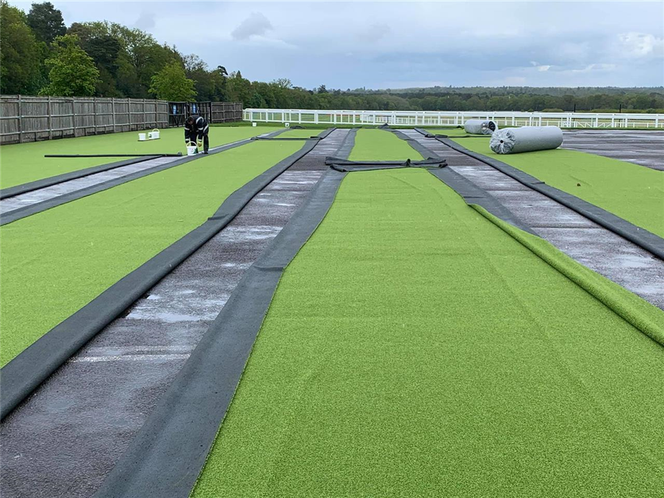 Super Verdegrass - Ascot Racecourse