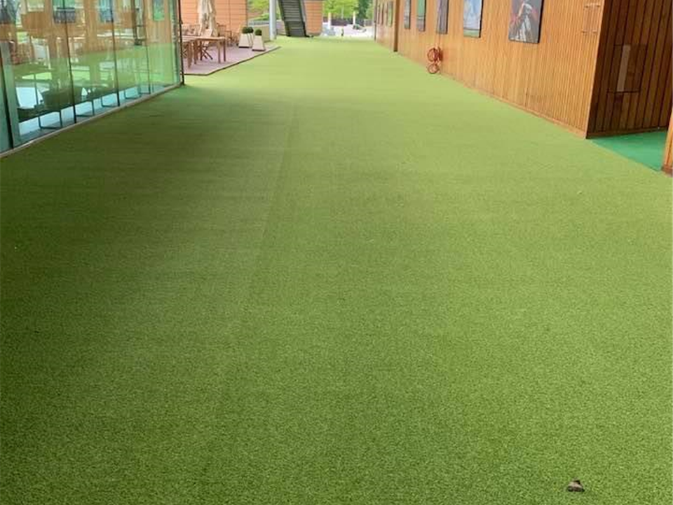 Super Verdegrass - Ascot Racecourse