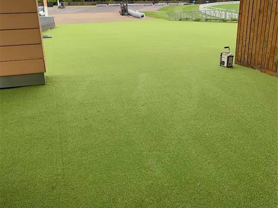 Super Verdegrass - Ascot Racecourse