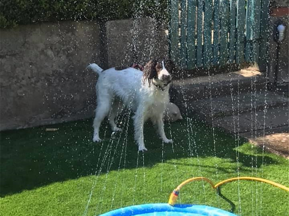 Verde Tempo 30mm - Cover Solutions Installation