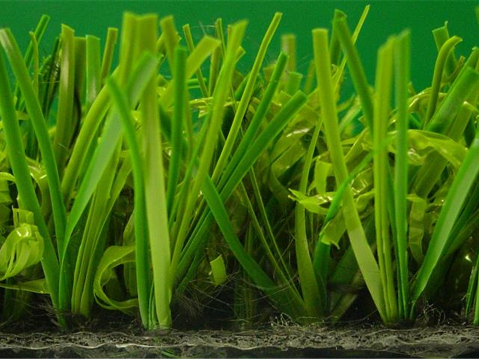 Verdeluxe - 3.00m X 2.00m