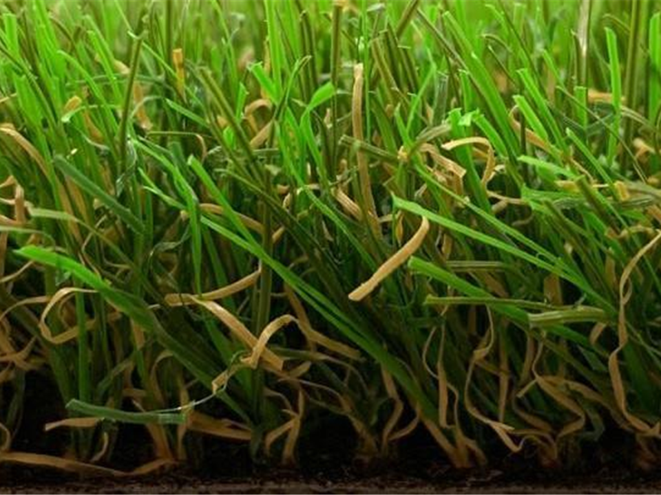 Verde Tempo Side View