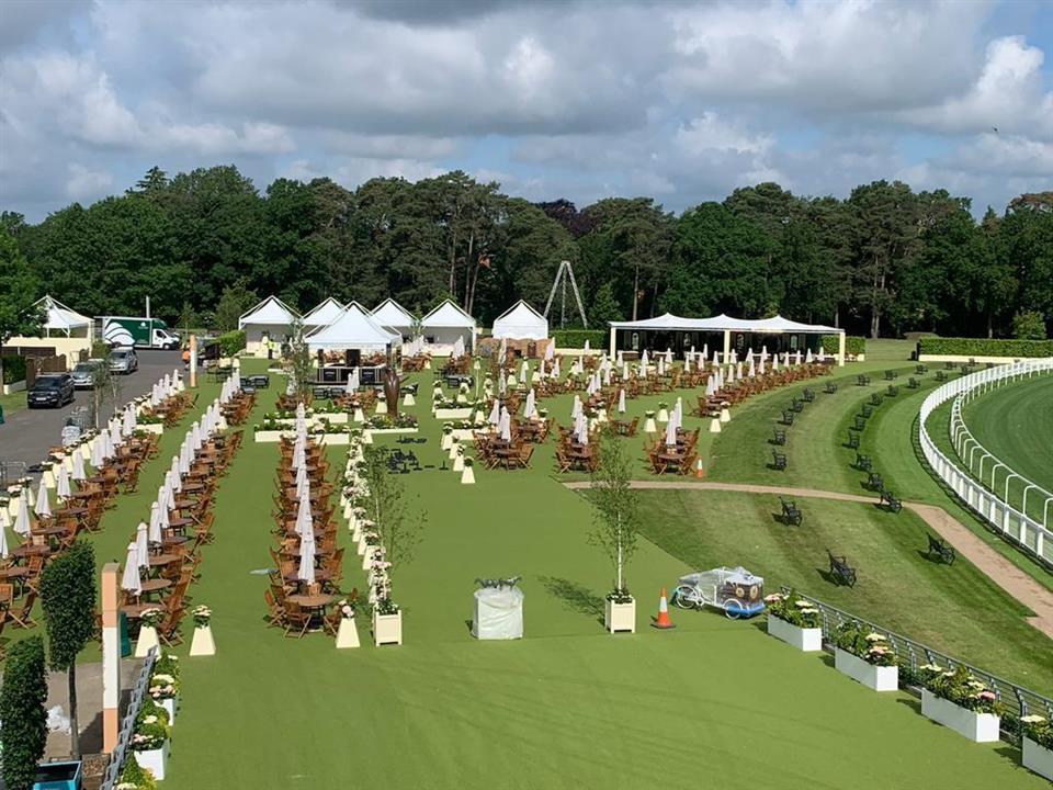 Super Verdegrass - Ascot Racecourse