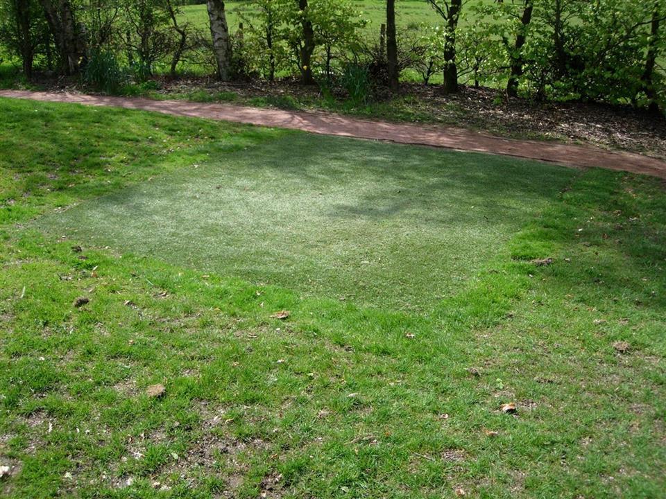Verde TeeTurf