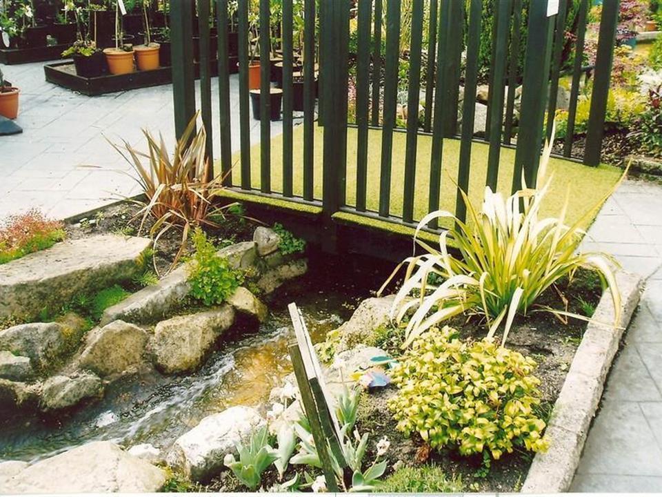Special Branch (Barton Grange) - Super Verdegrass