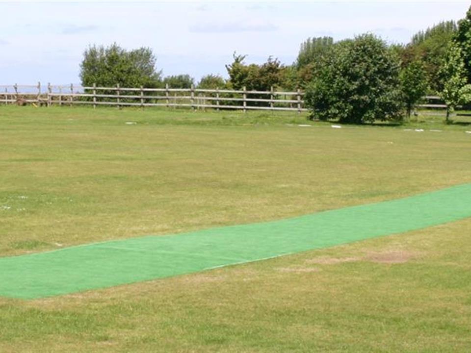 Cricket Wicket