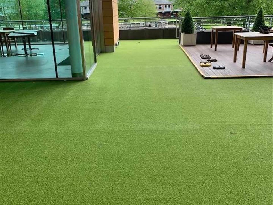Super Verdegrass - Ascot Racecourse