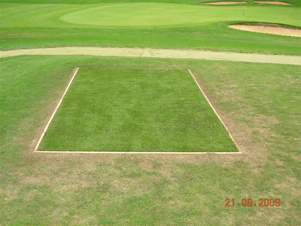 Verde Tee Turf By Lindsay Surfacing