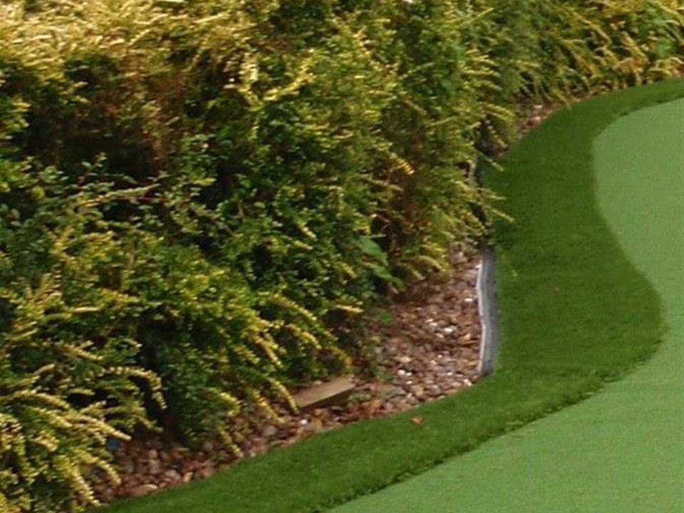 Golf Fringe or 'the rough'